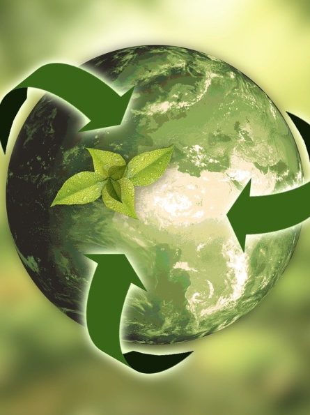 Circularity League®