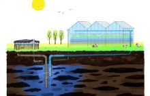 Subsurface water solutions for irrigation water supply prove to be cost effective