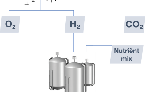 Solar Protein